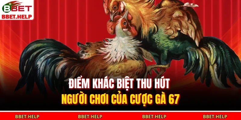 Đá Gà 67 – Mô Phỏng Sống Động, Trải Nghiệm Cực Thật 2 Điểm khác biệt thu hút người chơi của cược gà 67