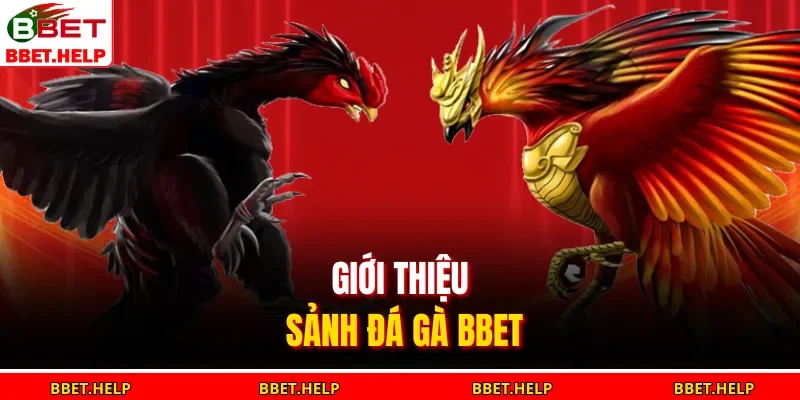 Đá Gà Bbet 1 Giới thiệu sảnh đá gà BBET