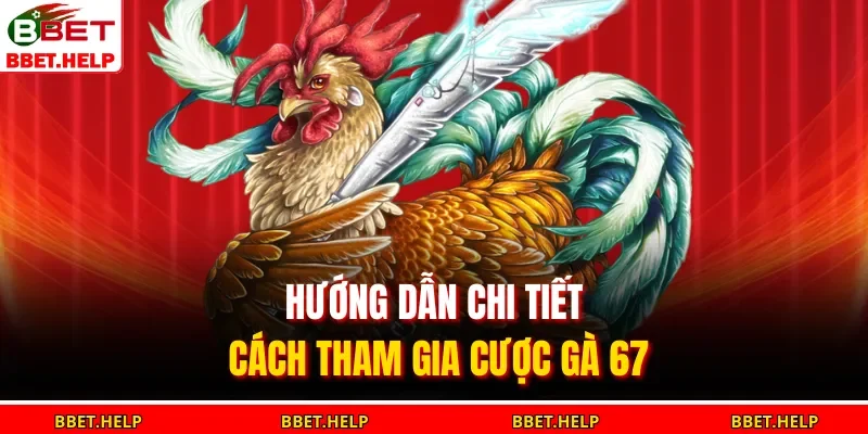 Đá Gà 67 – Mô Phỏng Sống Động, Trải Nghiệm Cực Thật 3 Hướng dẫn chi tiết cách tham gia cược gà 67